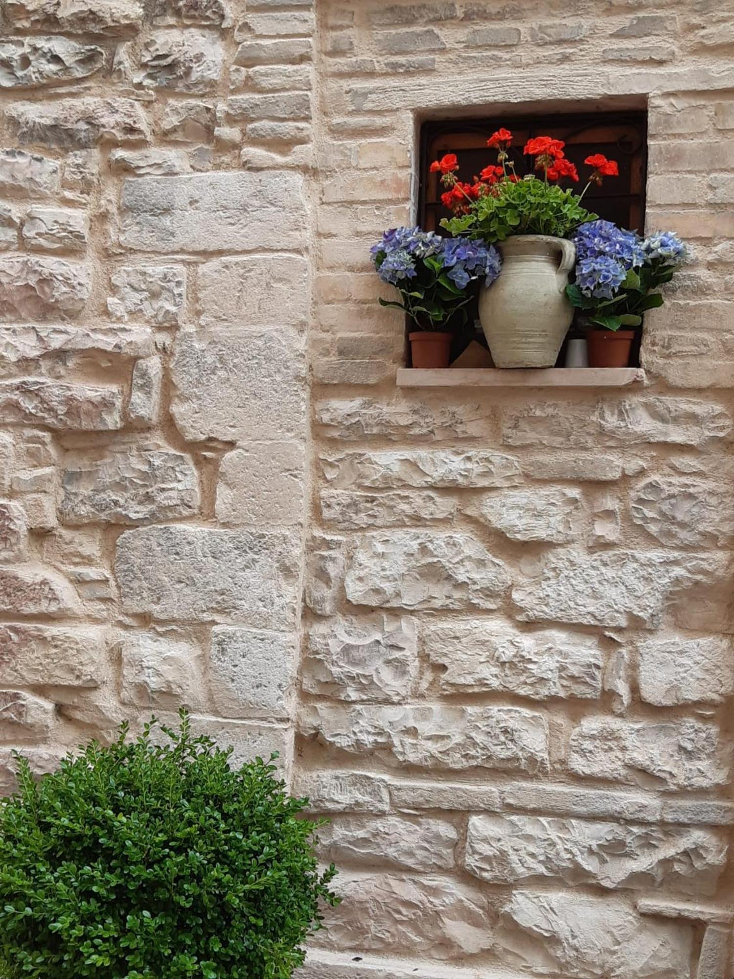 Le Dimore Arcangelo Maria Assisi Exterior foto